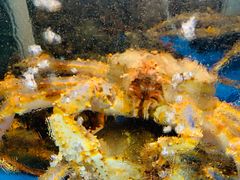 -蟹之国·精品蟹料理(极地店)