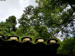 -井冈山风景名胜区