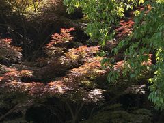 -宁波野生动物园