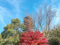 -牛首山文化旅游区