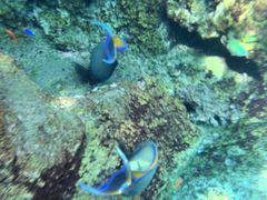 -新加坡水上探险乐园