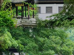 -红梅公园