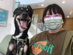 -北京恒爱动物医院(清景园分院)