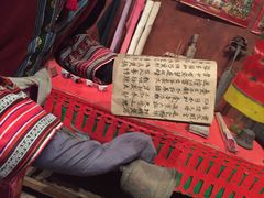 -越南民族学博物馆