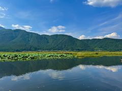 -腾冲北海湿地