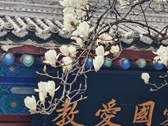 -万寿八仙宫
