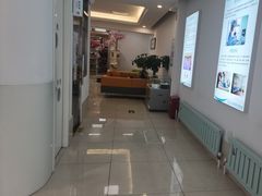 -北京观赏动物医院·24小时大型综合·猫专科·异宠专科