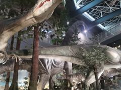 -湖南省地质博物馆