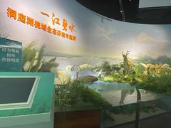 -湖南省地质博物馆
