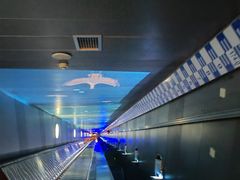-白鹤梁水下博物馆