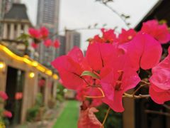 -冰冰龙虾·江湖菜·花园江景餐厅
