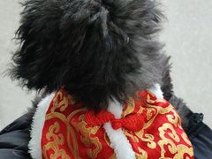 -瑞派福兴宠物医院犬猫全科·骨科·中西医结合(河东店)