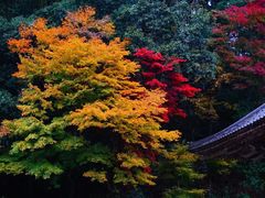 -城崎温泉 外七汤