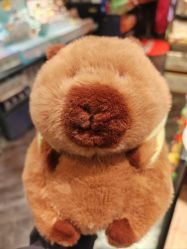 -酷乐潮玩(七宝领展广场店)