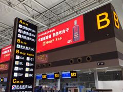 -石家庄正定国际机场-T2航站楼