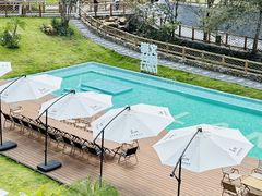 -江西阳明山国家森林公园