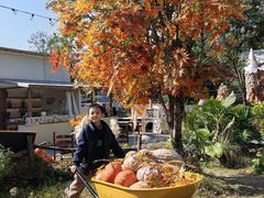 -HERRE·FARM 赫尔露营农场·团建聚会包场