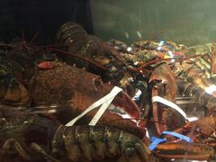 -Union Oyster House