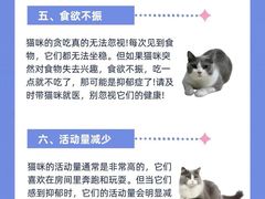 -lincat·猫舍(广州店)