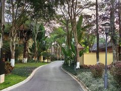 -西双版纳安纳塔拉度假酒店