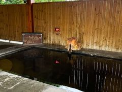 -福州贵安·温泉世界