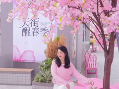 -首开·龙湖成都西宸天街