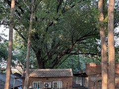 -东升八家郊野公园