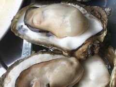 -蚝得喜海鲜(东城店)