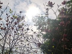 -晓港公园