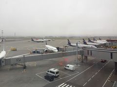 -谢列梅捷沃国际机场