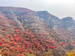 -狼牙山风景区