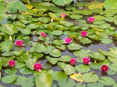 -国家植物园南园