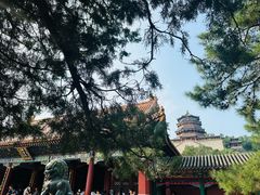 -颐和园