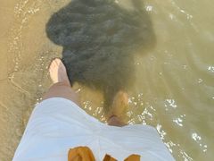 -碧海金沙