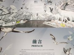 -中国湿地博物馆