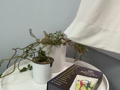 -安肯心理咨询(长宁旗舰店)