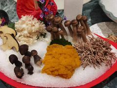 -尚海豆捞(乐虹坊店)