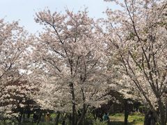 -苏州上方山国家森林公园