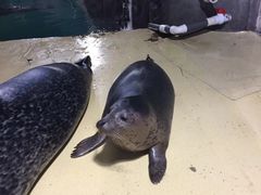-嘉兴海底世界