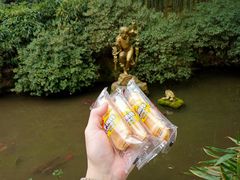 -杭州黄龙洞