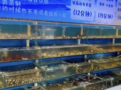 -仙螺岛海鲜自助餐厅(总店)