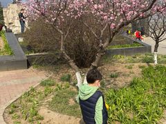 -北京鹫峰国家森林公园