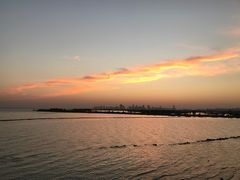 -合肥滨湖国家森林公园