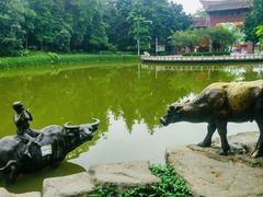 -榴花公园