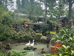 -青城甲(青城山店)