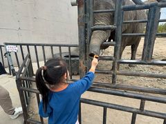 -鄂尔多斯野生动物园