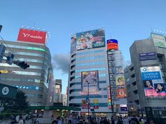 -秋叶原电器街