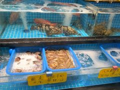 -大家发海鲜城夜排档(华山中路店)