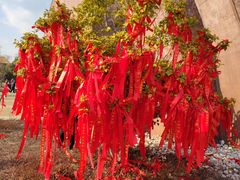 -广富林郊野公园