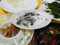 -鸽王世家(东华东路店)